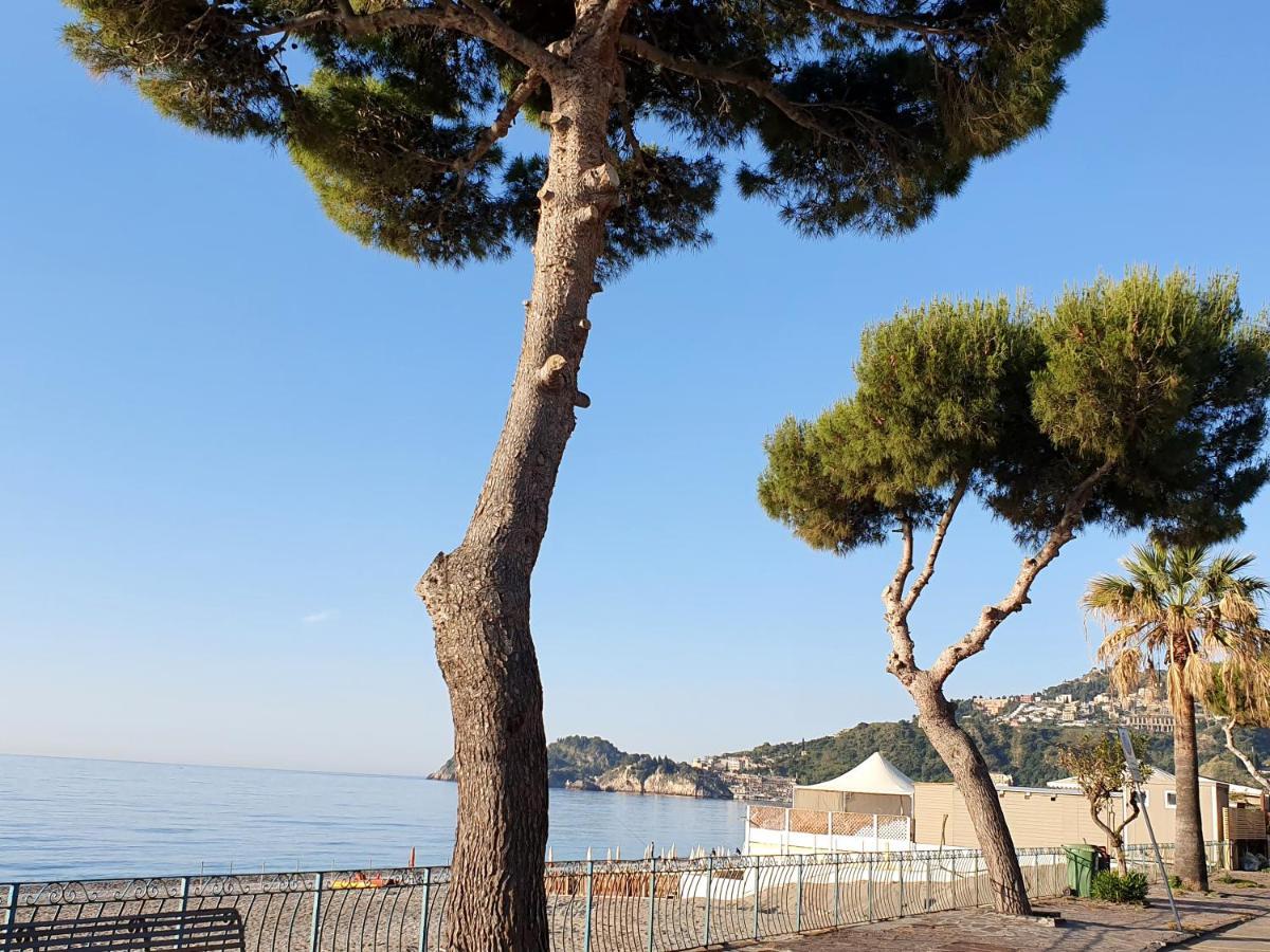 Appartement Luxury Beachfront Pool And Parking
